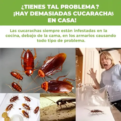 🪳Gel Natural Anti-Cucarachas – Despedite de las plagas y recupera tu hogar